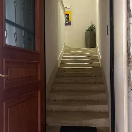 Strada Ion I. C. Bratianu Nr.24 *