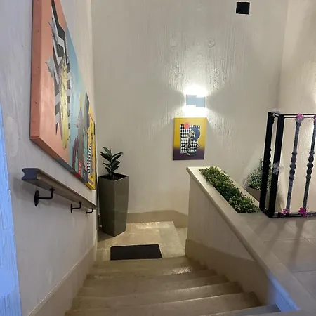 Strada Ion I. C. Bratianu Nr.24