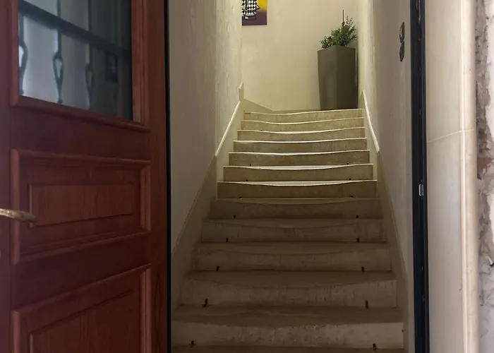 Strada Ion I. C. Bratianu Nr.24 *